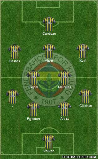 Fenerbahçe SK Formation 2013