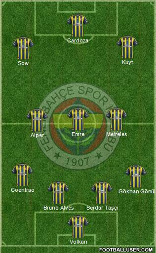 Fenerbahçe SK Formation 2013