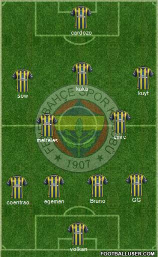 Fenerbahçe SK Formation 2013