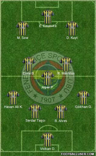 Fenerbahçe SK Formation 2013