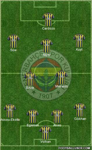 Fenerbahçe SK Formation 2013