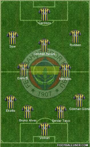 Fenerbahçe SK Formation 2013