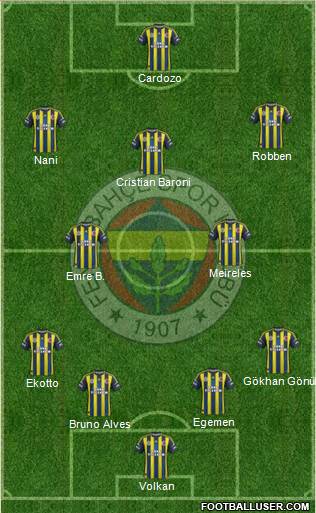 Fenerbahçe SK Formation 2013