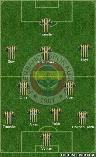 Fenerbahçe SK Formation 2013