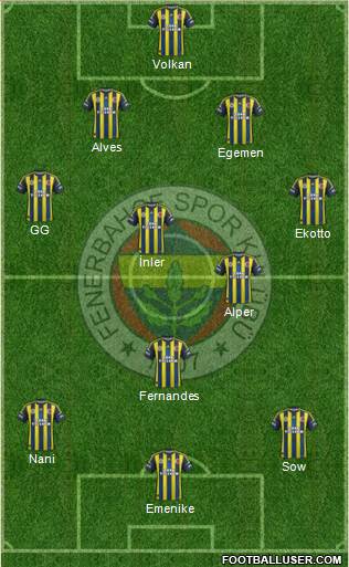 Fenerbahçe SK Formation 2013