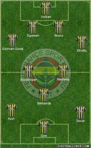 Fenerbahçe SK Formation 2013