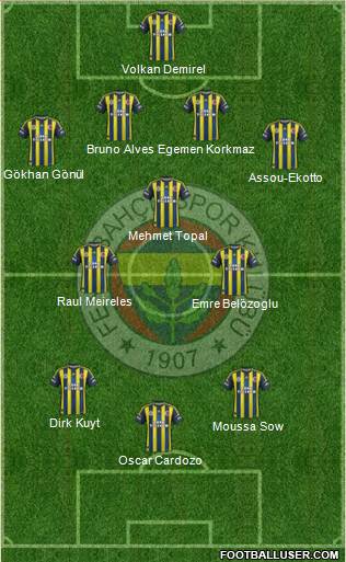 Fenerbahçe SK Formation 2013