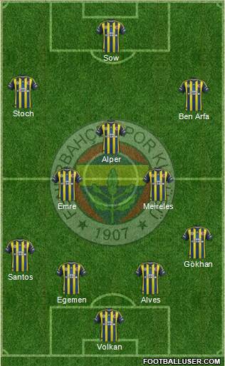 Fenerbahçe SK Formation 2013