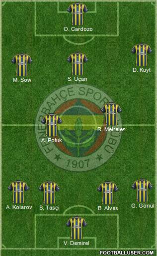 Fenerbahçe SK Formation 2013