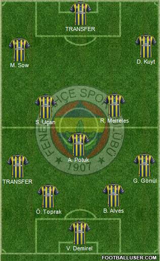 Fenerbahçe SK Formation 2013