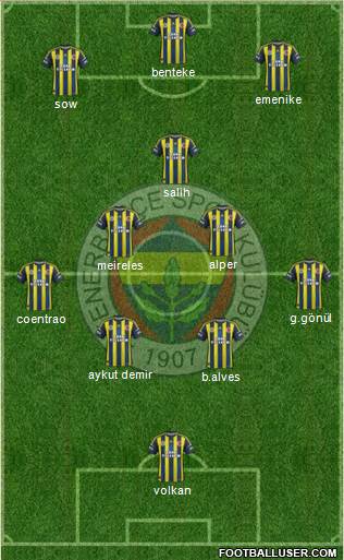 Fenerbahçe SK Formation 2013