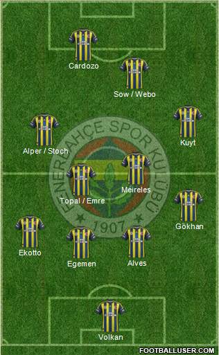 Fenerbahçe SK Formation 2013