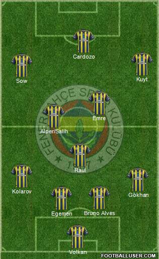 Fenerbahçe SK Formation 2013