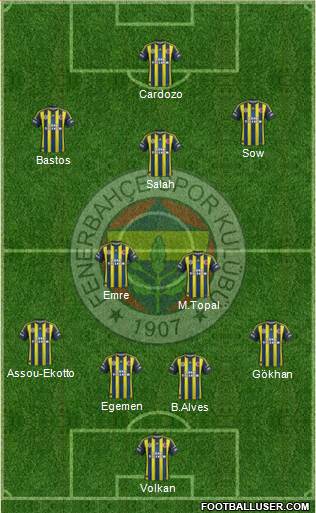 Fenerbahçe SK Formation 2013
