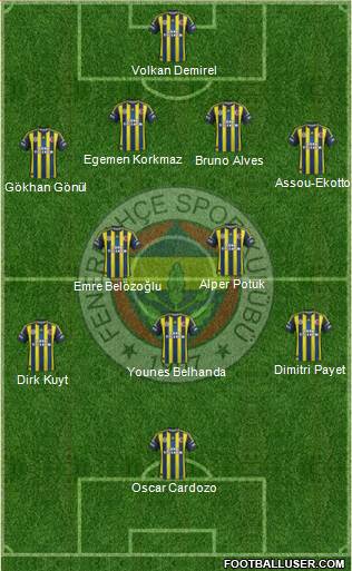 Fenerbahçe SK Formation 2013