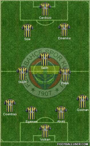 Fenerbahçe SK Formation 2013
