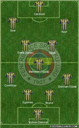 Fenerbahçe SK Formation 2013