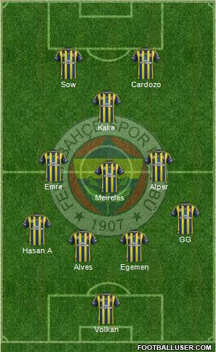 Fenerbahçe SK Formation 2013