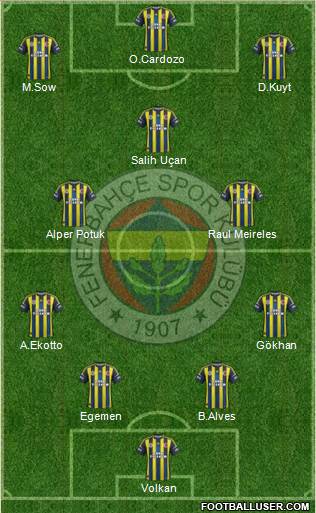 Fenerbahçe SK Formation 2013