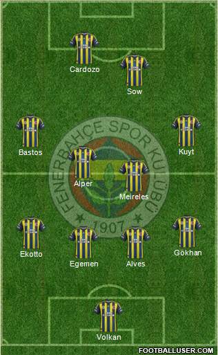 Fenerbahçe SK Formation 2013