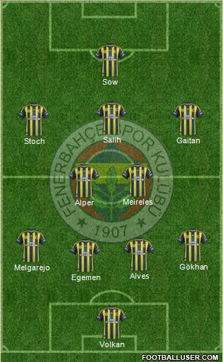 Fenerbahçe SK Formation 2013