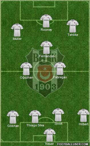 Besiktas JK Formation 2013