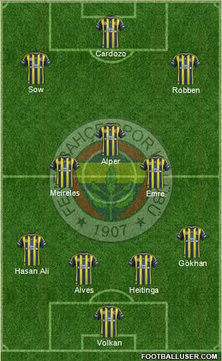 Fenerbahçe SK Formation 2013