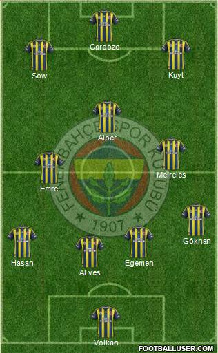 Fenerbahçe SK Formation 2013