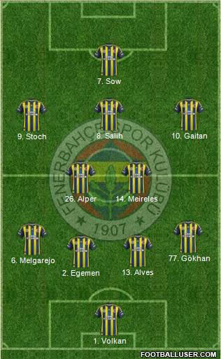 Fenerbahçe SK Formation 2013