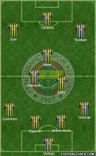 Fenerbahçe SK Formation 2013