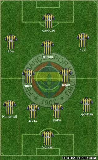 Fenerbahçe SK Formation 2013