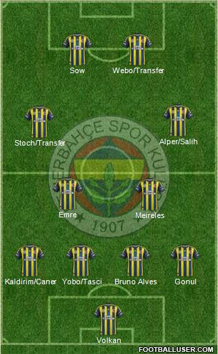 Fenerbahçe SK Formation 2013