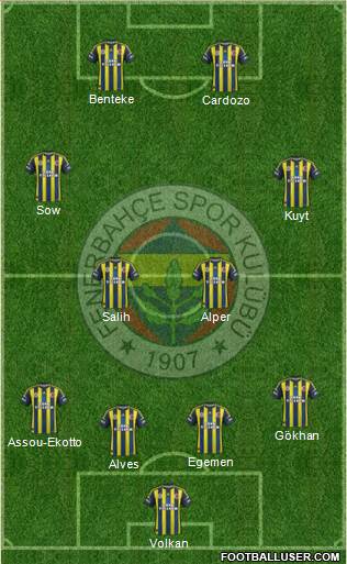 Fenerbahçe SK Formation 2013