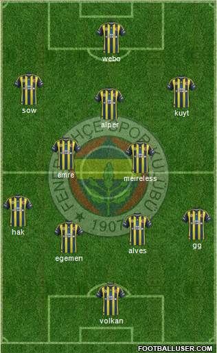 Fenerbahçe SK Formation 2013