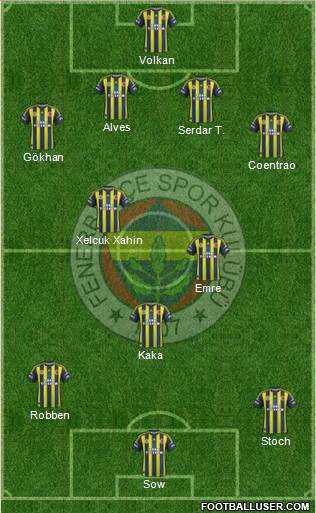 Fenerbahçe SK Formation 2013