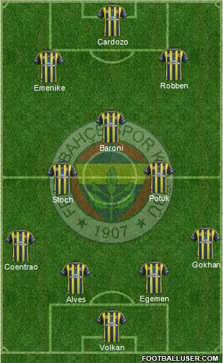Fenerbahçe SK Formation 2013
