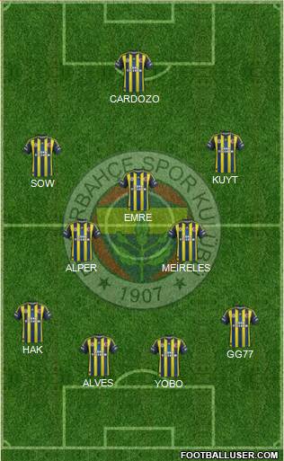 Fenerbahçe SK Formation 2013