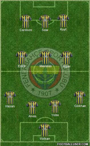 Fenerbahçe SK Formation 2013
