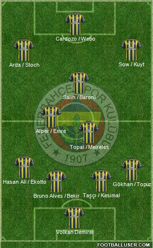 Fenerbahçe SK Formation 2013