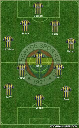 Fenerbahçe SK Formation 2013