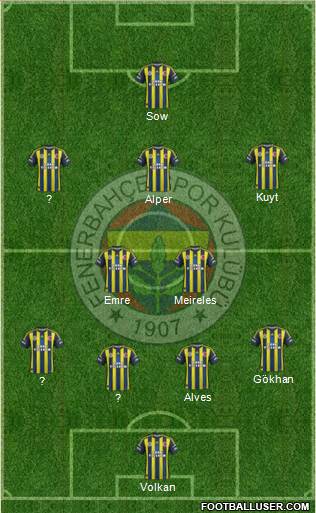 Fenerbahçe SK Formation 2013