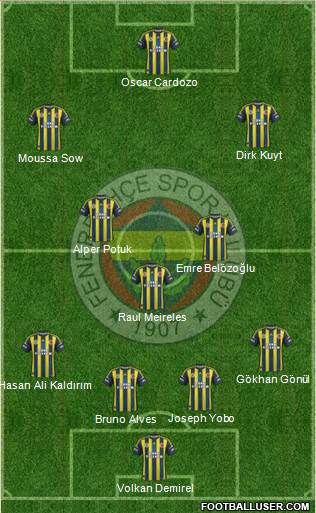 Fenerbahçe SK Formation 2013