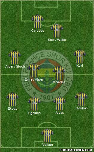 Fenerbahçe SK Formation 2013