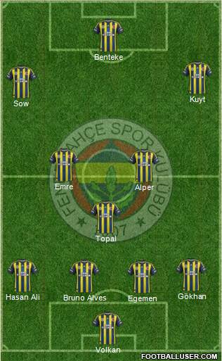 Fenerbahçe SK Formation 2013