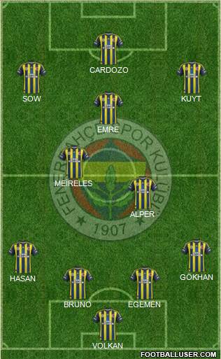 Fenerbahçe SK Formation 2013