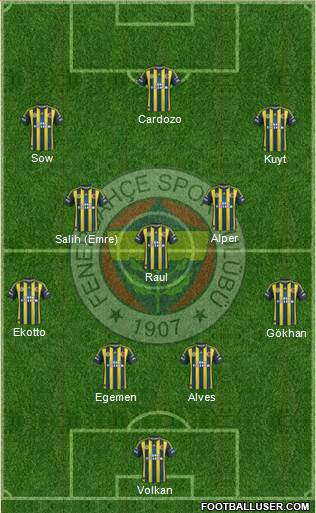 Fenerbahçe SK Formation 2013