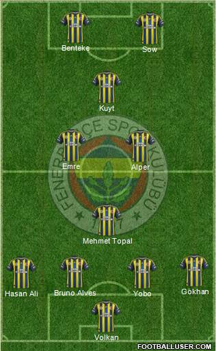 Fenerbahçe SK Formation 2013