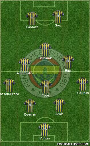 Fenerbahçe SK Formation 2013