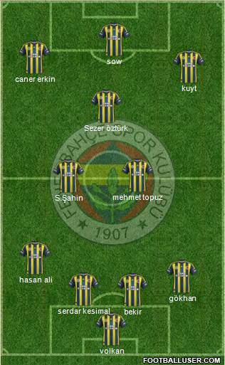 Fenerbahçe SK Formation 2013