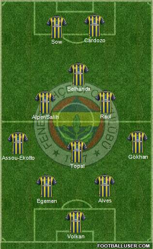 Fenerbahçe SK Formation 2013